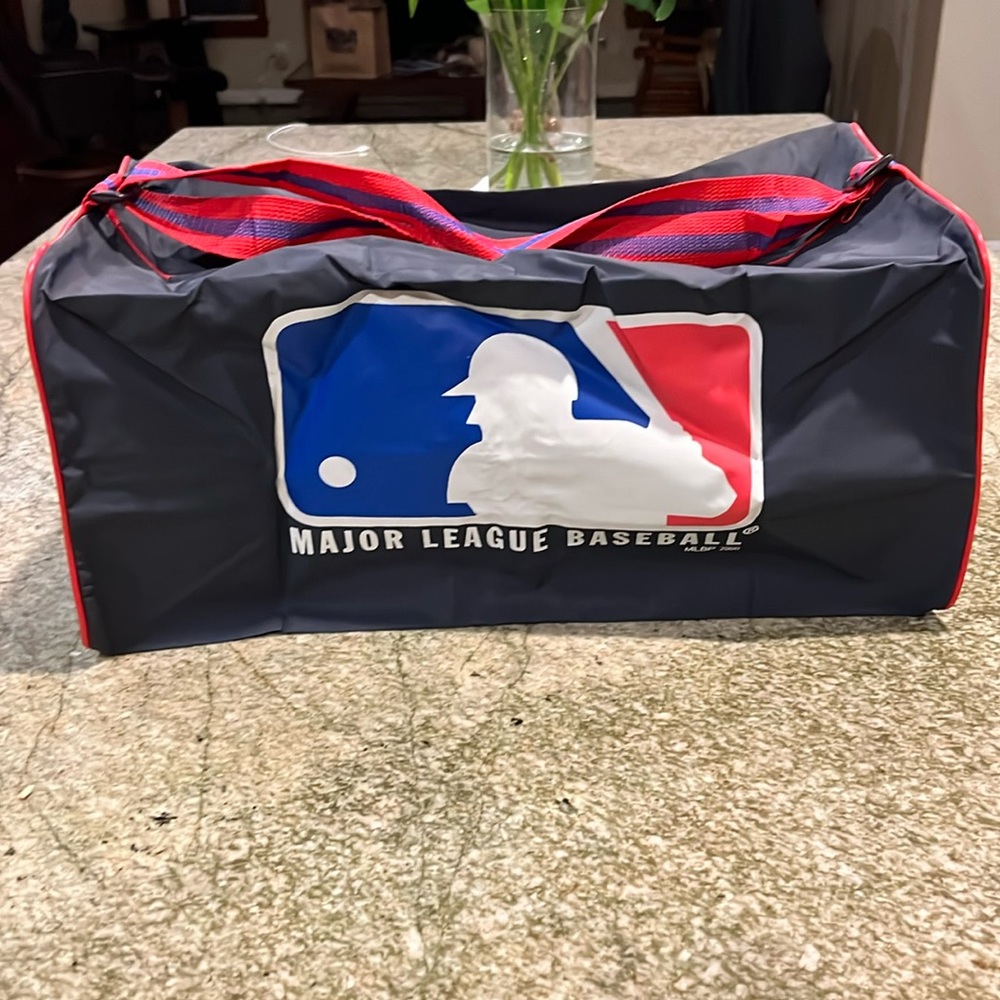 Major League Baseball Bag